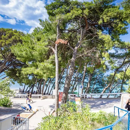 Apartment Beachfront Pebble Srzic Makarska